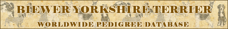 DogsFiles.com - databases of all dog's breeds.