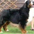 SUPERFOOT RUMOR HAS IT V JENDA