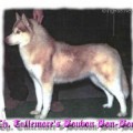 TULLEMORE'S BOURBON BON BON