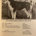 KARNOVANDA AURELIA TRIK TRAK