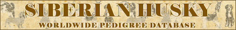 DogsFiles.com - databases of all dog's breeds.