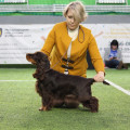 ARASKAL ESTHER LUCK ARASKAL ESTHER LUCK