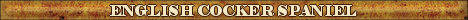 DogsFiles.com - databases of all dog's breeds.
