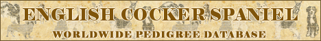 DogsFiles.com - databases of all dog's breeds.