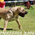 GATEKEEPER DIOR