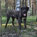 7 месяцев