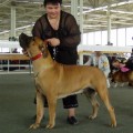 U MISHEL FROM SOUTH AFRICA