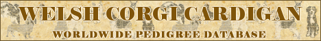 DogsFiles.com - databases of all dog's breeds.