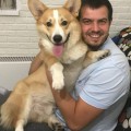 DIALIS ZOLOTO TAMERLANA DIALIS ZOLOTO TAMERLANA