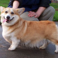 DIDI RUFUS