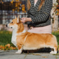 FREELIFE DOG MORTON