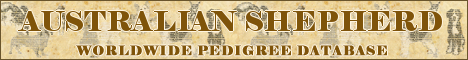 DogsFiles.com - databases of all dog's breeds.