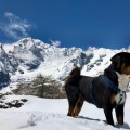 CA' DEL CORSI GEREMIA