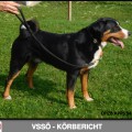 ASTERIX VOM LOOSES-REITH