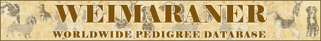 DogsFiles.com - databases of all dog's breeds.