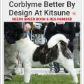 CORBLYME BETTER BY DESIGN AT KITSUNE