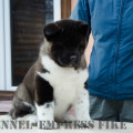 EMPRESS FIKE YUKO MI EMPRESS FIKE YUKO MI