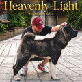 HEAVENLY LIGHT YAMAMOTO