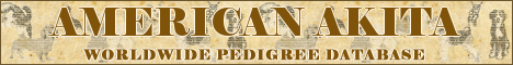 DogsFiles.com - databases of all dog's breeds.