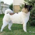 RUBI ANCIENT MYSTERY KATTYVAL RUBI ANCIENT MYSTERY KATTYVAL