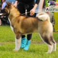 RUTHDALES ANTI GRAVITY RUTHDALES ANTI GRAVITY