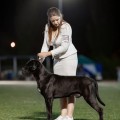 ELITE ESKALIBUR IZ DINASTII CHEMPIONOV
