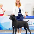 BODY GRACE IZ DINASTII CHEMPIONOV