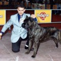 ETTORE
