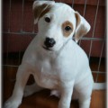 MOXIE MIX NOLDI NEIL MOXIE MIX NOLDI NEIL