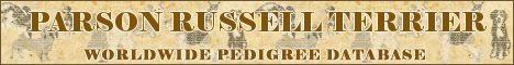 DogsFiles.com - databases of all dog's breeds.