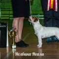 MOXIE MIX NELVINA NEALA MOXIE MIX NELVINA NEALA