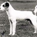 HOWLBECK PIPER