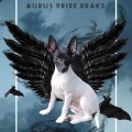 AURUS PRIDE DRAKE