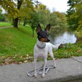 VITASFAVORIT ARMIRA VITASFAVORIT ARMIRA