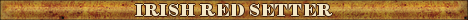 DogsFiles.com - databases of all dog's breeds.