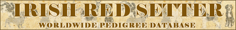 DogsFiles.com - databases of all dog's breeds.