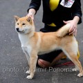 RUNA