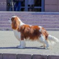 RINRI ZGRAIA NADZEI