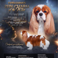 EXPELLIARMUS ZEIN CHARM OF THE WEST EXPELLIARMUS ZEIN CHARM OF THE WEST