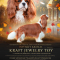 NEVSKIY KRISTAL KRAFT JEWELRY TOY