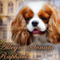 ALLEGRO SONATA RAPHAEL