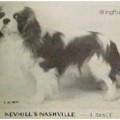 NEVHILL'S NASHVILLE