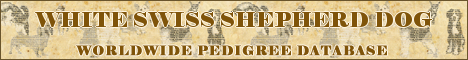 DogsFiles.com - databases of all dog's breeds.