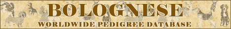DogsFiles.com - databases of all dog's breeds.