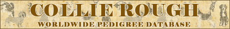 DogsFiles.com - databases of all dog's breeds.
