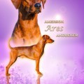 AMERSON ARES ANDBEKER AMERSON ARES ANDBEKER