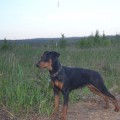 ALLANIA GRAND AUTENTIK BEAUTY