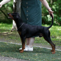 LEGENDORF JACOB