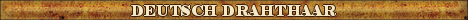 DogsFiles.com - databases of all dog's breeds.