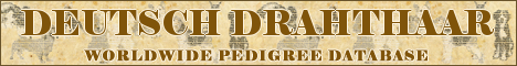 DogsFiles.com - databases of all dog's breeds.